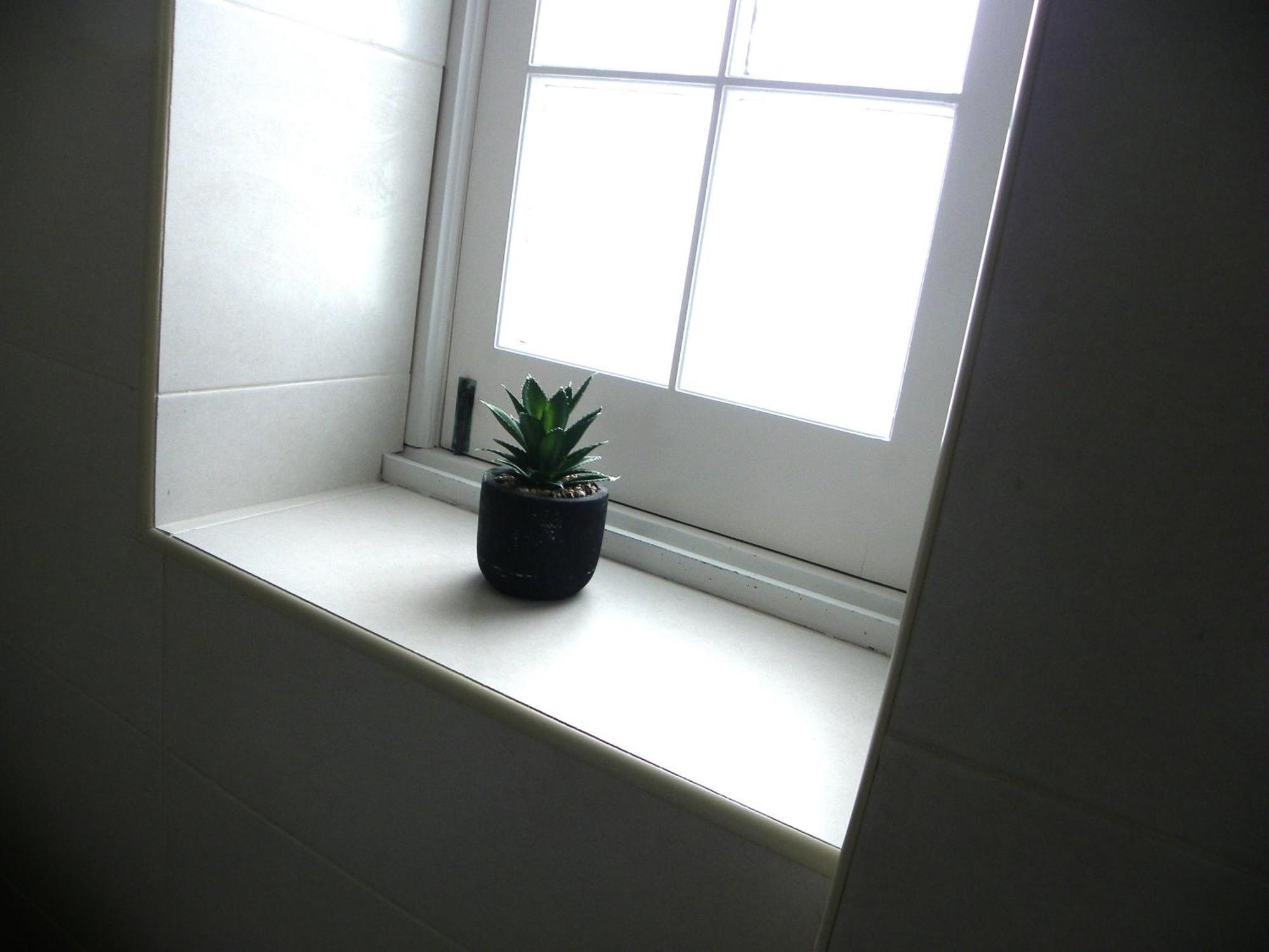 Lagoa Hostel & Suites 部屋 写真